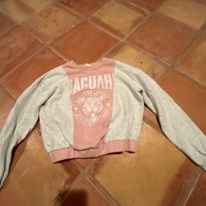 target cropped sweater